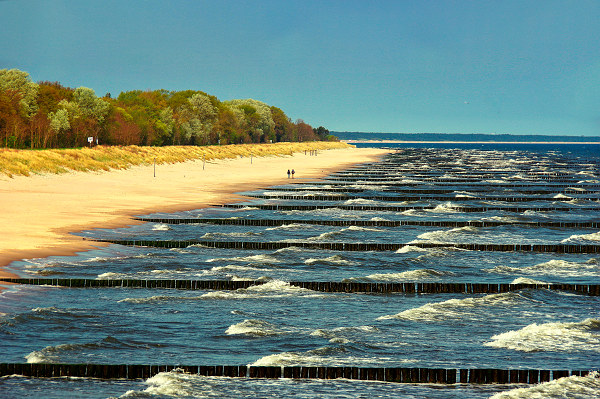 koserow-usedom-ferienwohnung koserow-usedom-ferienwohnung