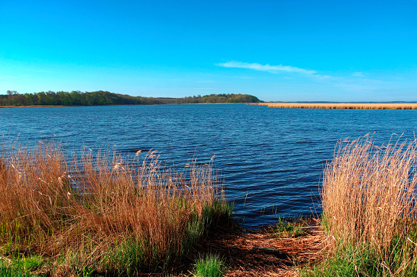 achterwasser-usedom-privatvermieter achterwasser-usedom-privatvermieter