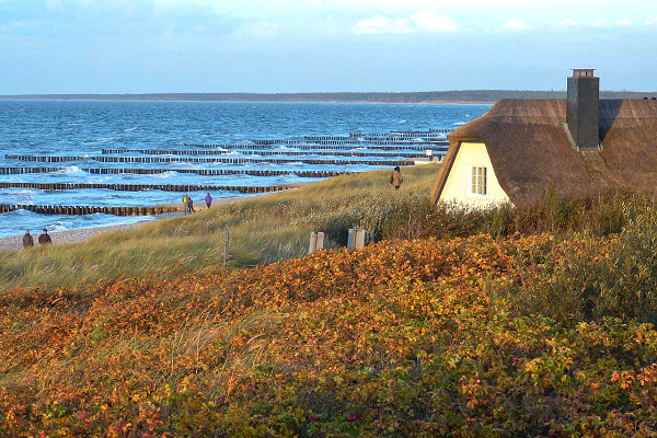 darss-ostsee-ahrenshoop darss-ostsee-ahrenshoop
