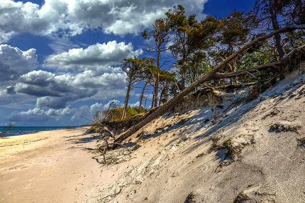 halbinsel-darss-ostsee halbinsel-darss-ostsee