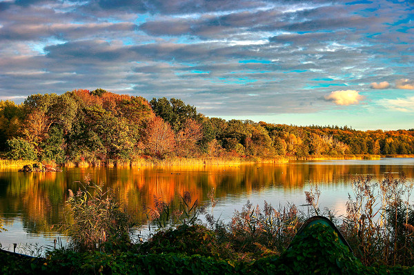 koelpinsee-insel-usedom koelpinsee-insel-usedom