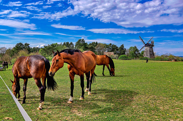 ostsee-reisen-benz-usedom ostsee-reisen-benz-usedom