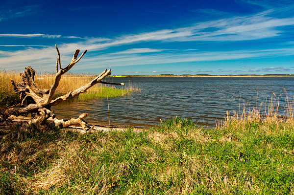 ostsee-urlaub-hund-usedom ostsee-urlaub-hund-usedom